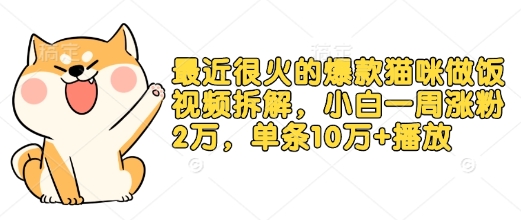 最近很火的爆款猫咪做饭视频拆解，小白一周涨粉2万，单条10万+播放(附保姆级教程)-启航188资源站