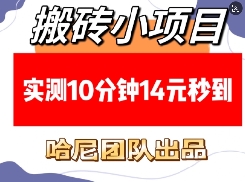 搬砖小项目，实测10分钟14元秒到，每天稳定几张(赠送必看稳定)-启航188资源站