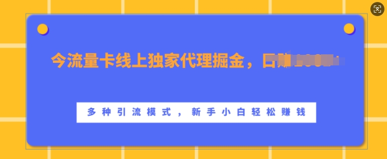 流量卡线上独家代理掘金，日入1k+ ，多种引流模式，新手小白轻松上手【揭秘】-启航188资源站