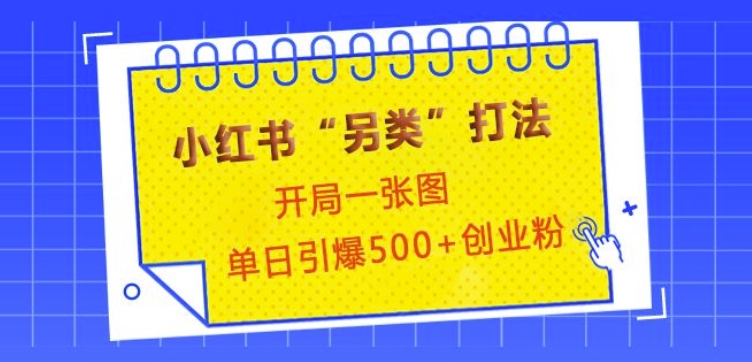 小红书“另类”打法，开局一张图，单日引爆500+精准创业粉【揭秘】-启航188资源站