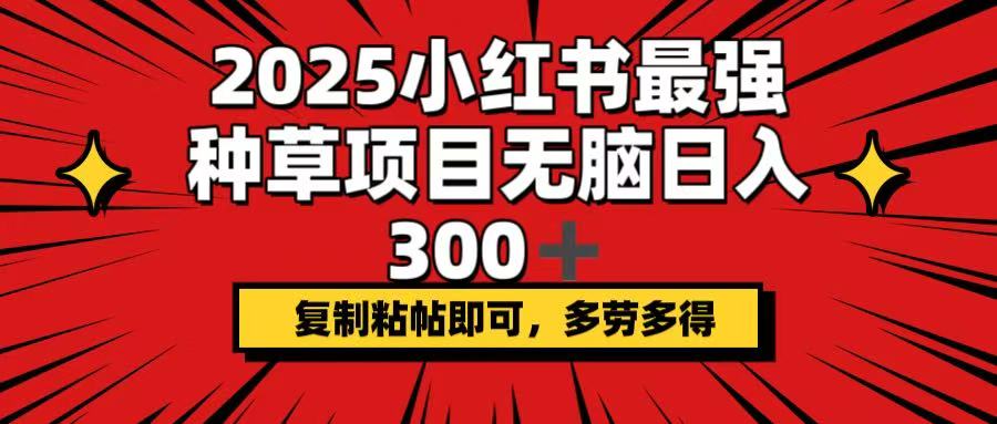 2025小红书最强种草项目，无脑日入300+，复制粘帖即可，多劳多得-启航188资源站