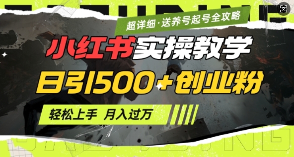 2月小红书最新日引500+创业粉实操教学【超详细】小白轻松上手，月入1W+，附小红书养号起号SOP-启航188资源站