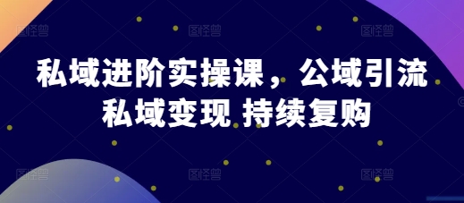 私域进阶实操课，公域引流 私域变现 持续复购-启航188资源站