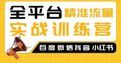 全平台精准流量实战训练营，百度微信抖音小红书SEO引流教程-启航188资源站