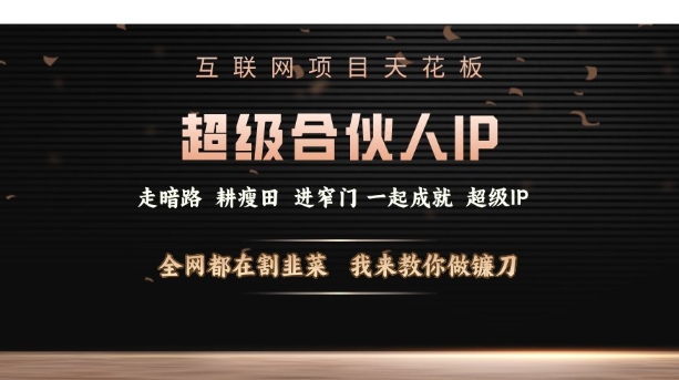 互联网项目天花板，超级合伙人IP，全网都在割韭菜，我来教你做镰刀【仅揭秘】-启航188资源站